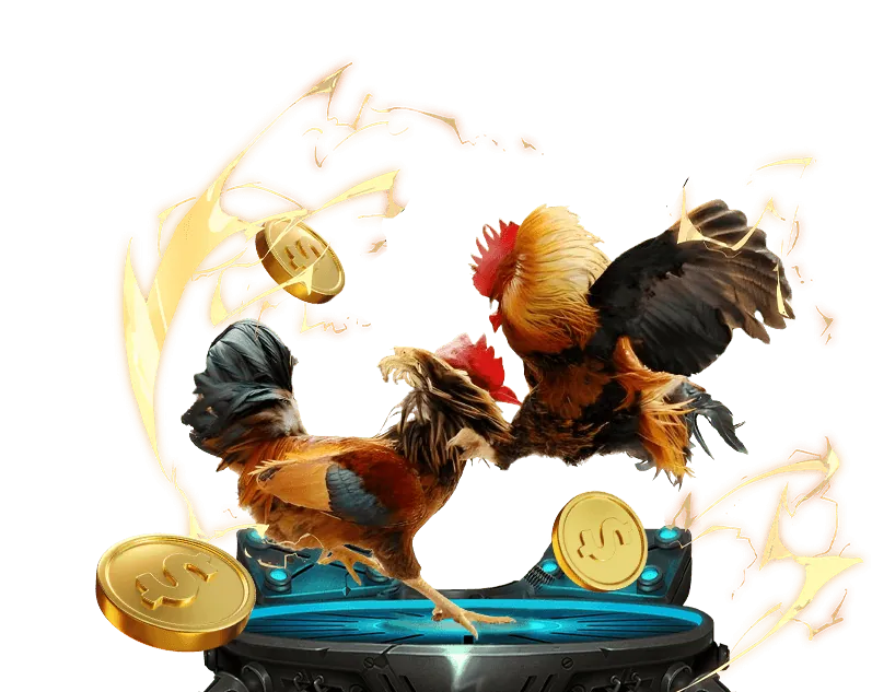 Đặt cược thể thao và đá gà